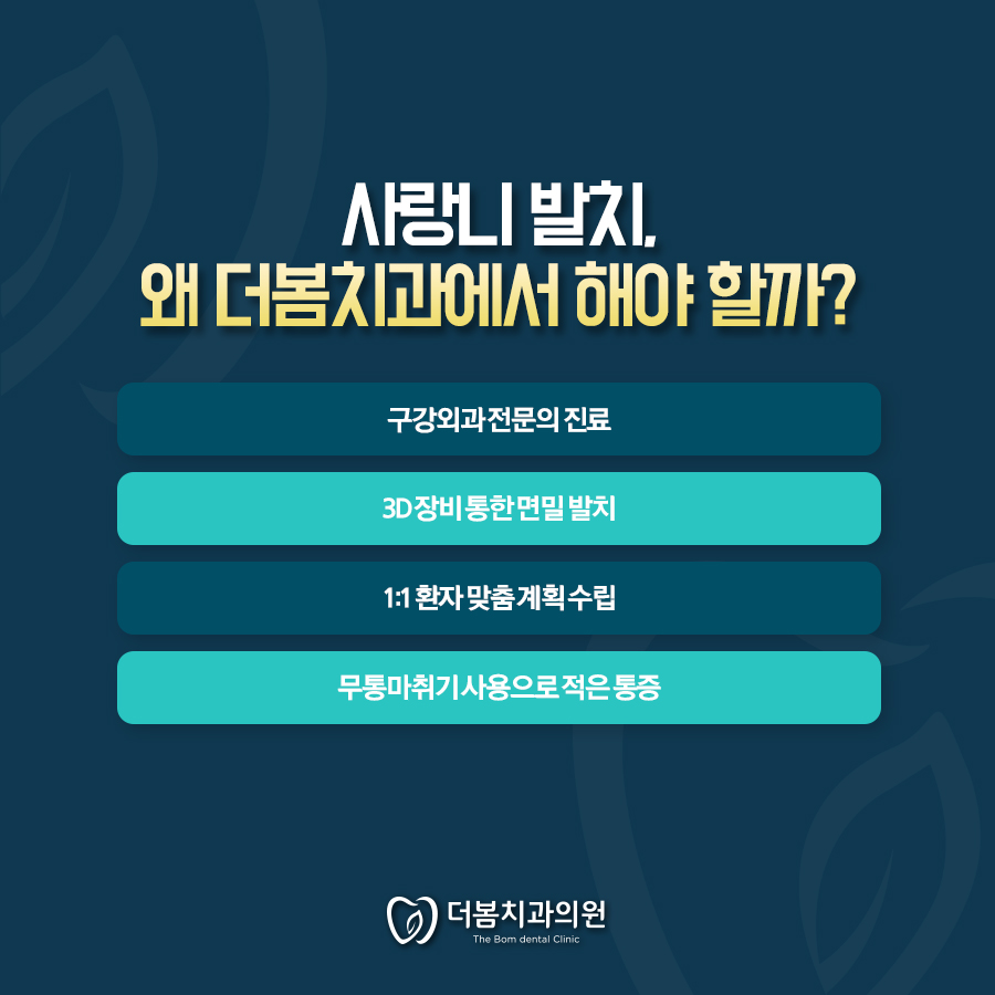 춘천365시스템 이미지