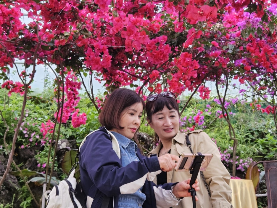 아라짱투어 이미지