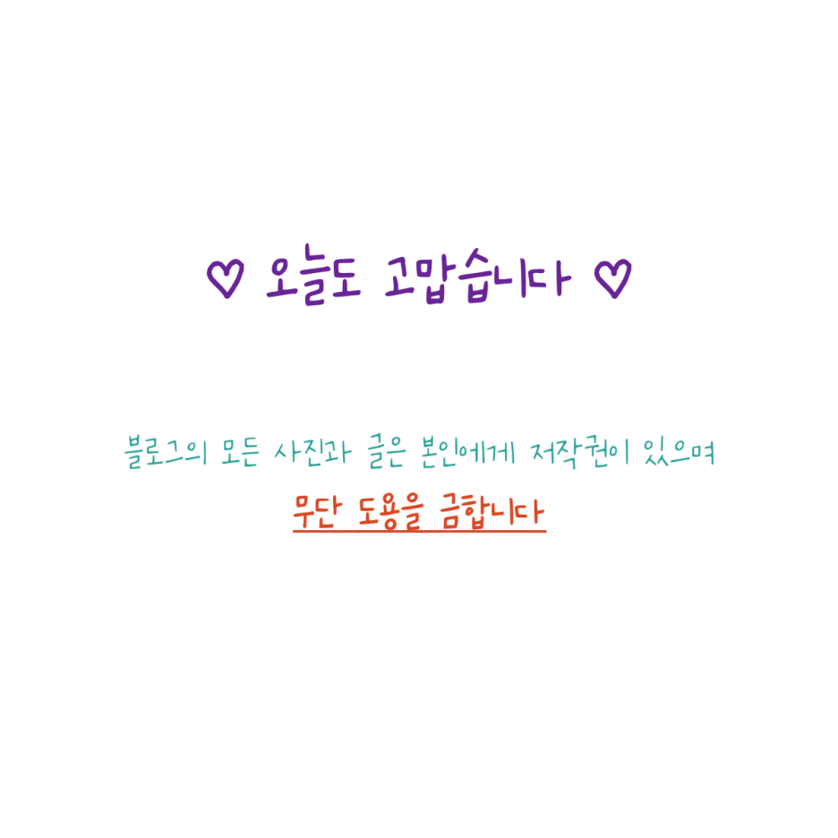 순이네산채나물밥상 이미지