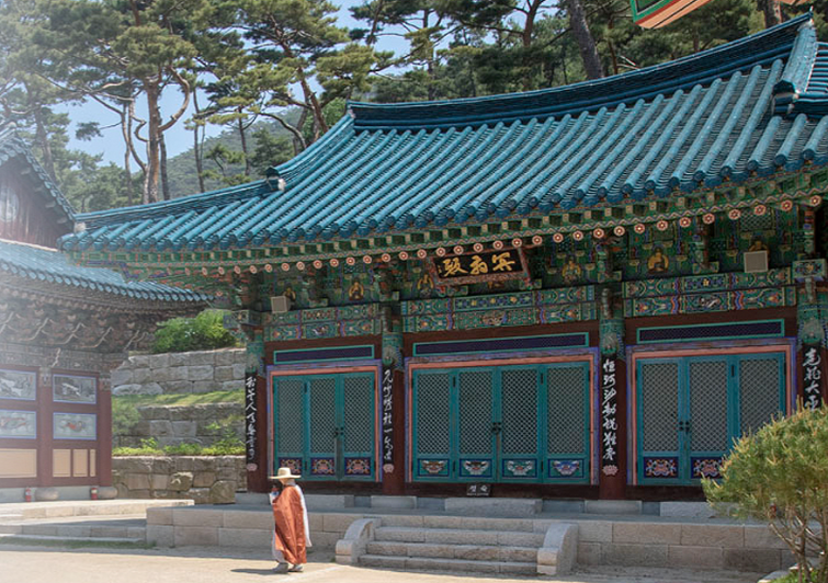 천양피앤비 이미지
