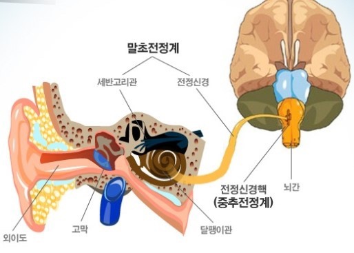 백석스터디 이미지