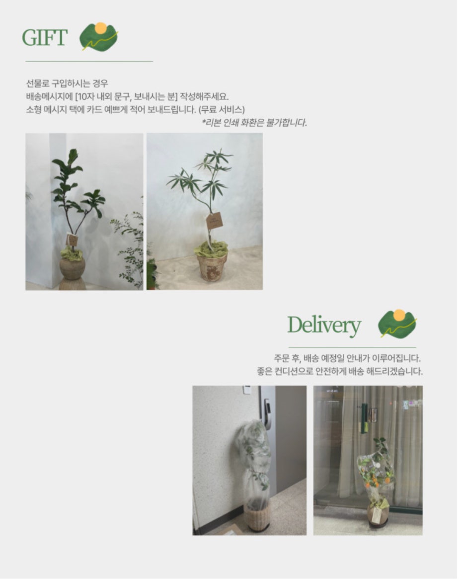 썬들썬들 이미지