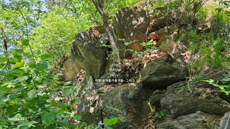 (주)봉황기획 이미지