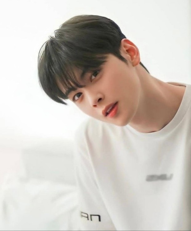 부티크 라보떼 이미지