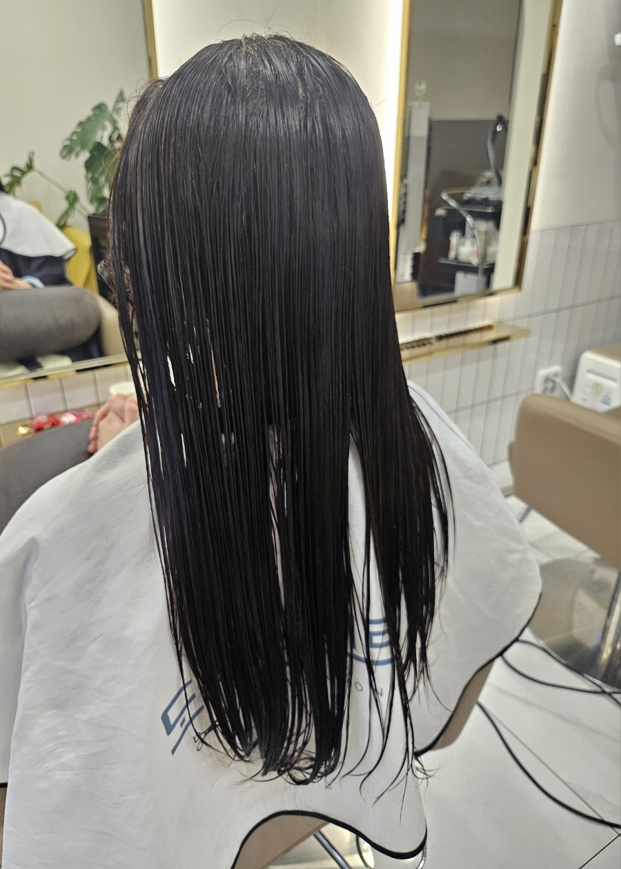 도유보네르 이미지