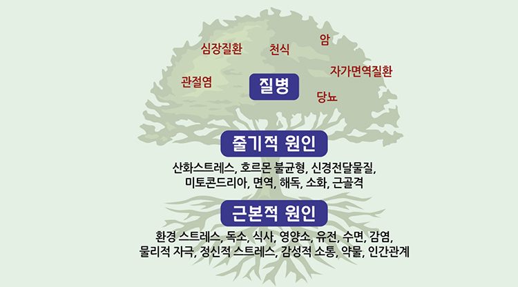바로편안성모의원 이미지