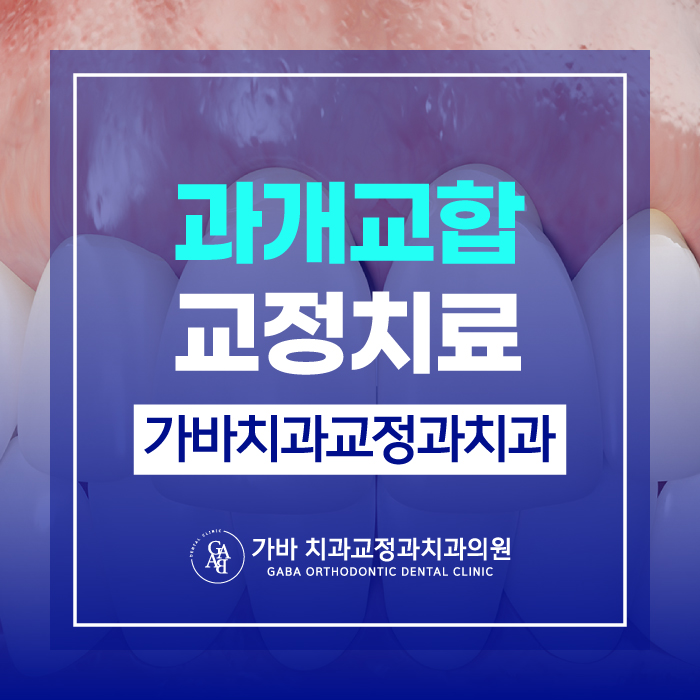 가바치과교정과치과의원 이미지