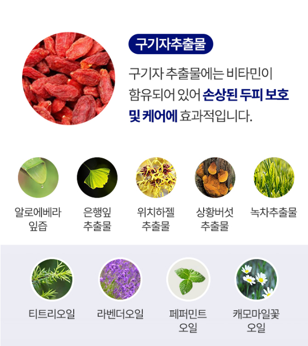 point&헤어 이미지