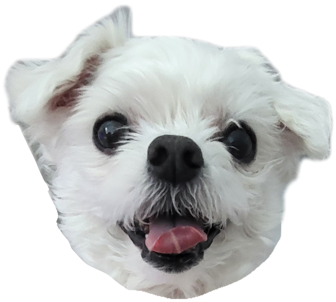 카페로즈메리 이미지