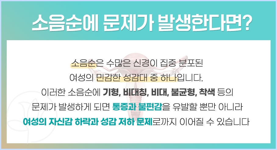 릴리프여성의원 이미지