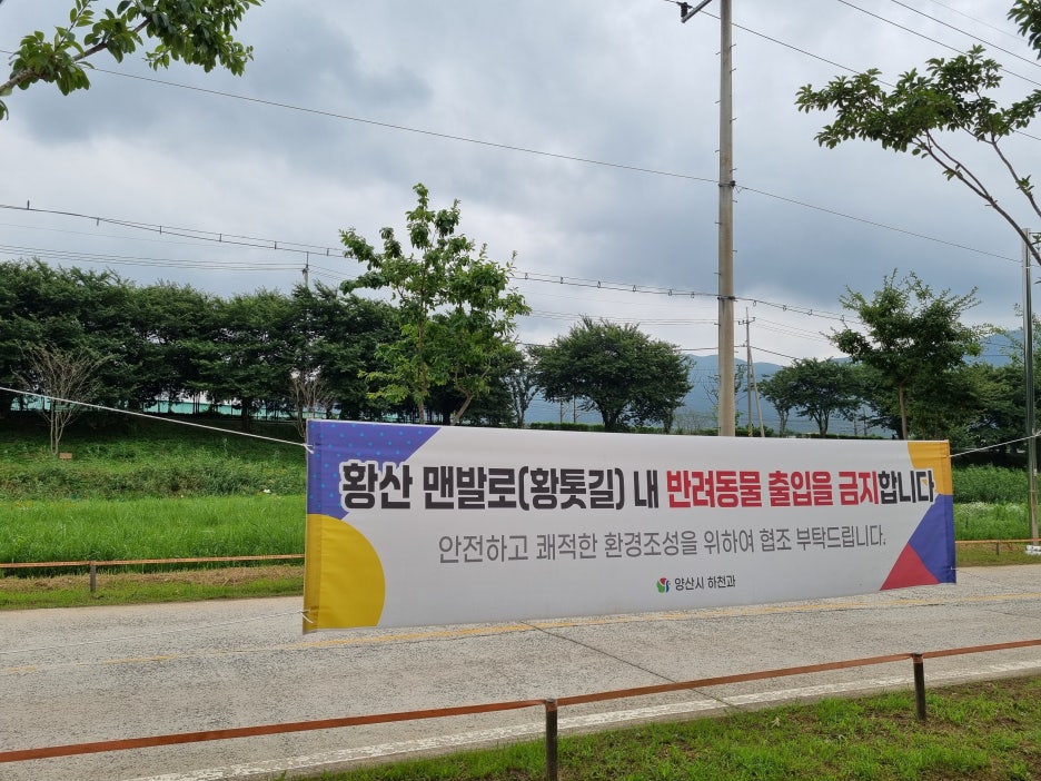 황산신발 이미지