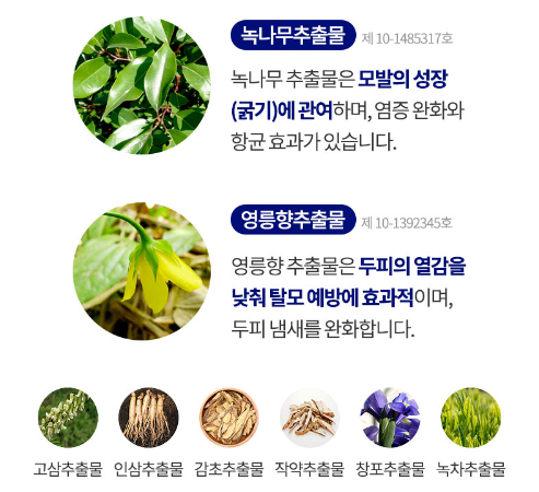 쿨헤어 이미지