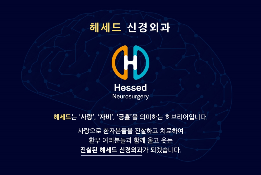 헤세드스포츠 이미지