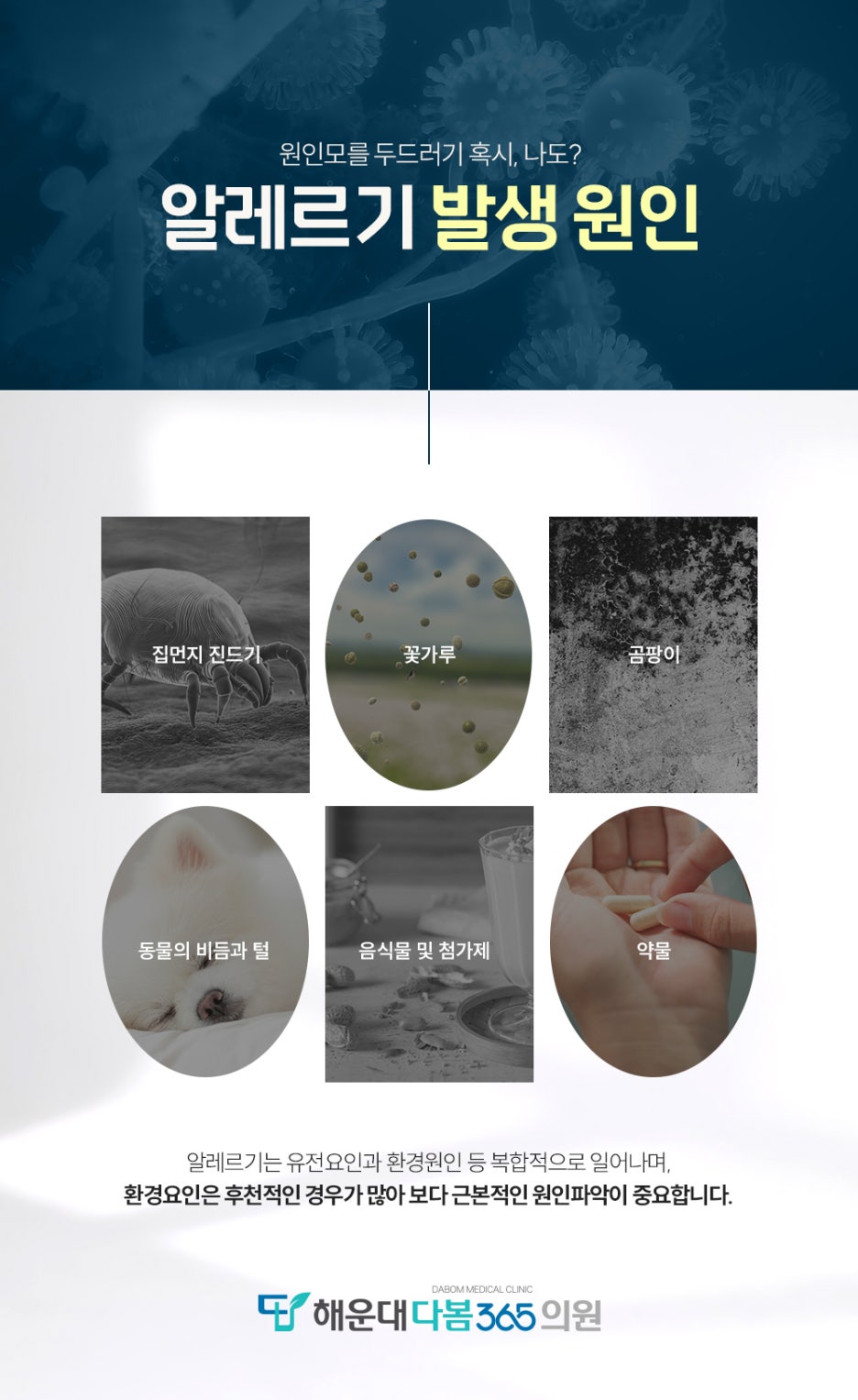 다봄365의원 이미지