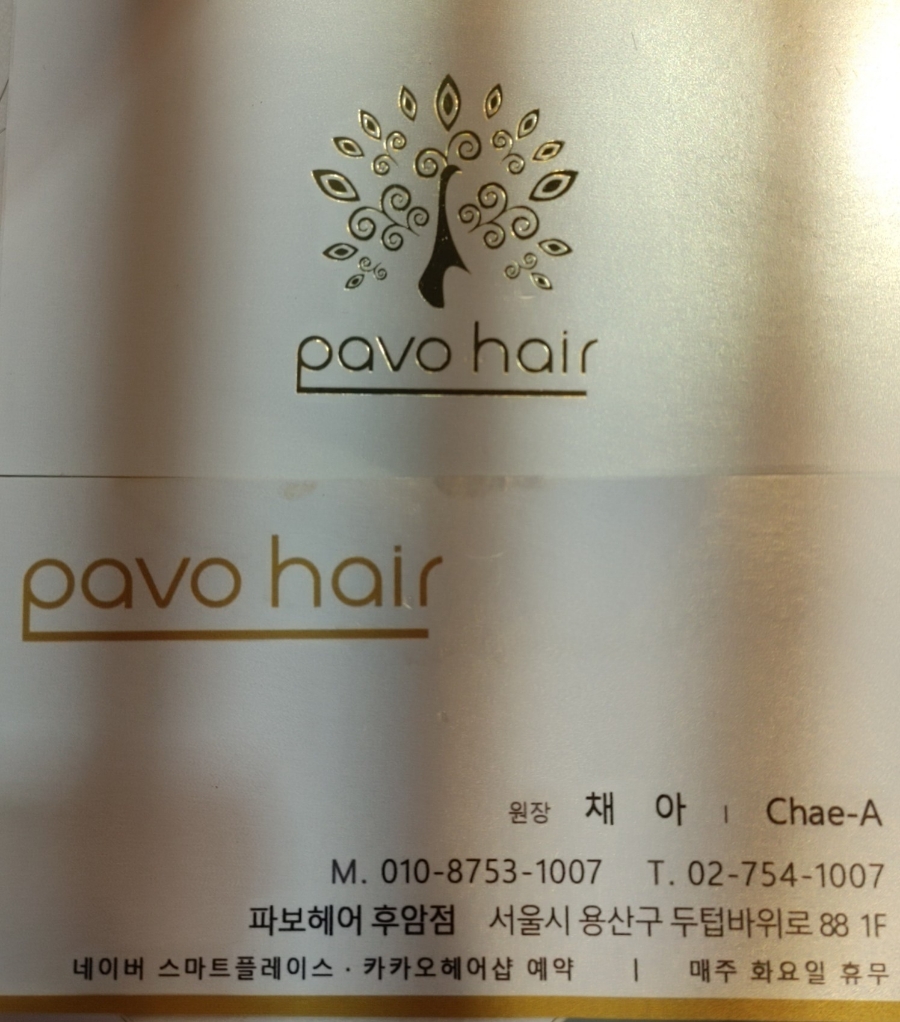 파보헤어 이미지