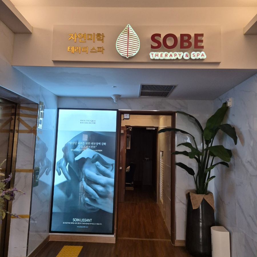 테라피스파소베홀리데이인점 이미지
