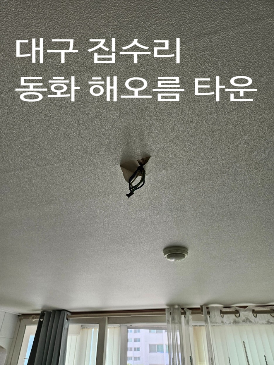 집수리아지야 이미지