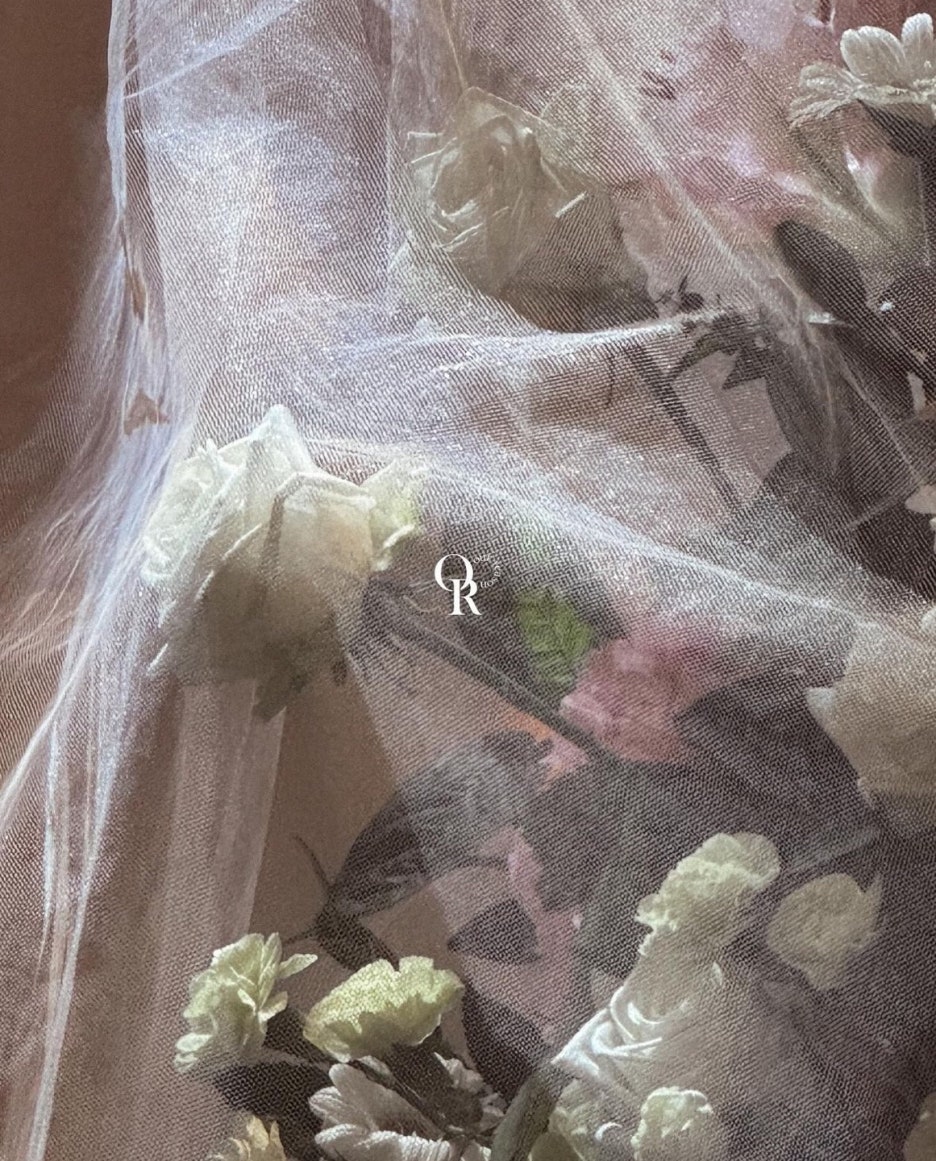리즌 이미지