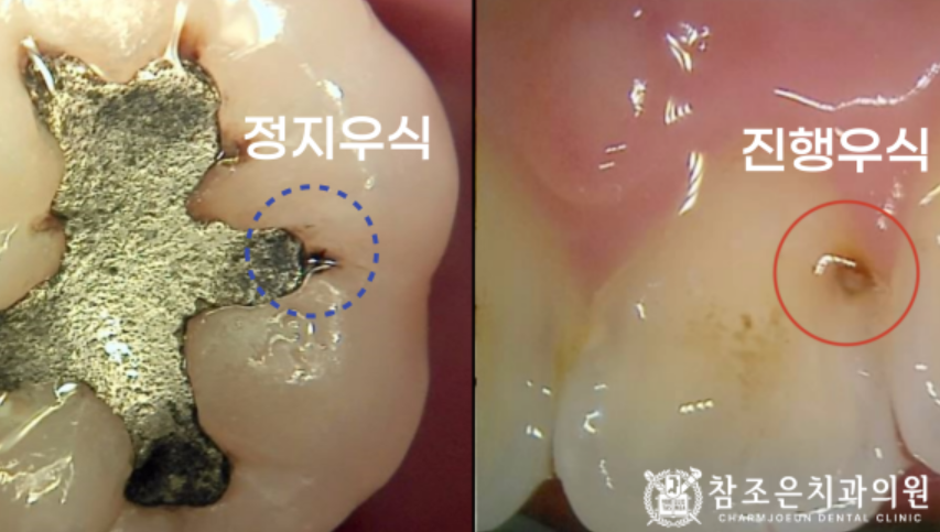 참조은치과의원 이미지