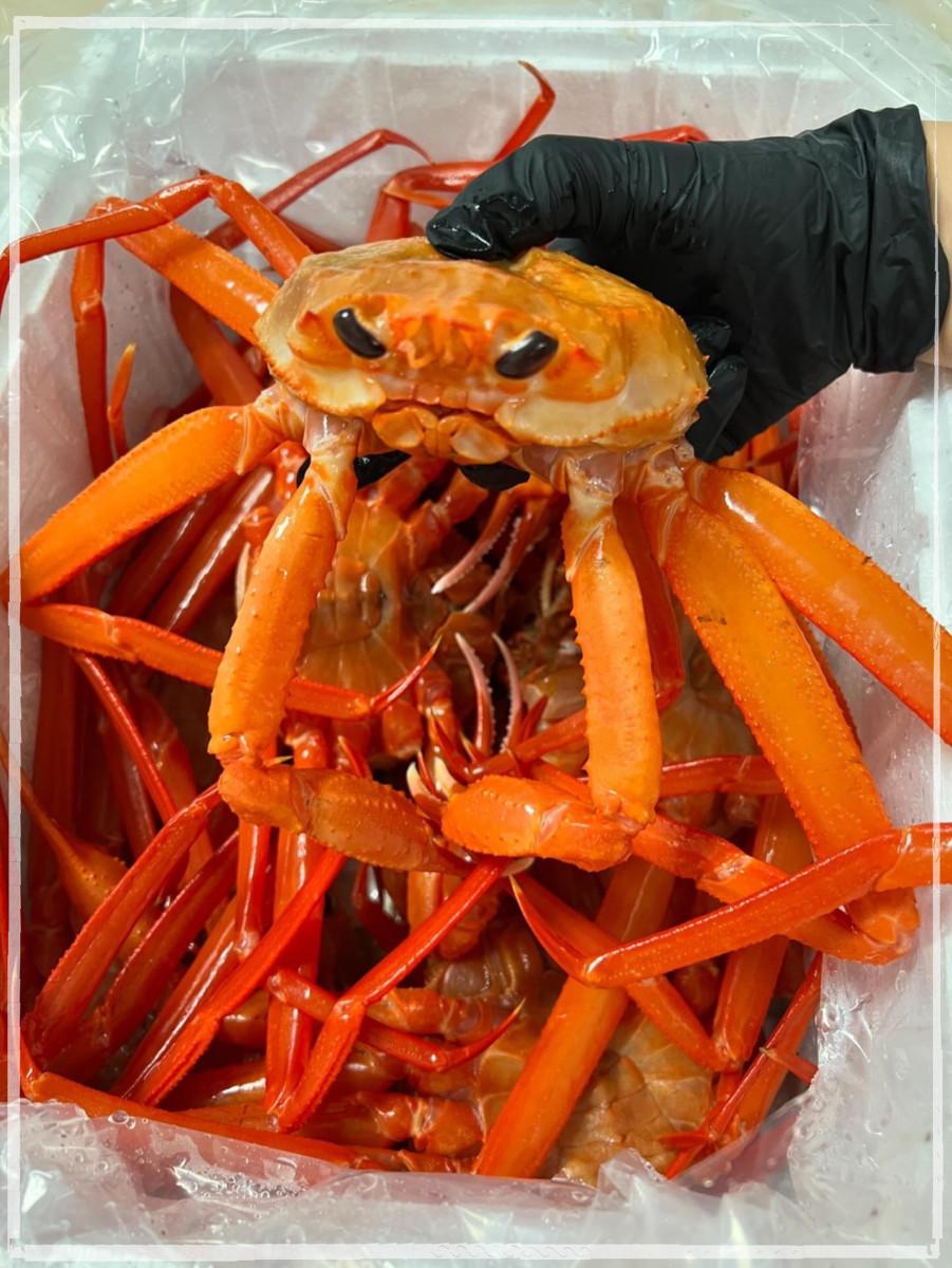 킹수산 이미지