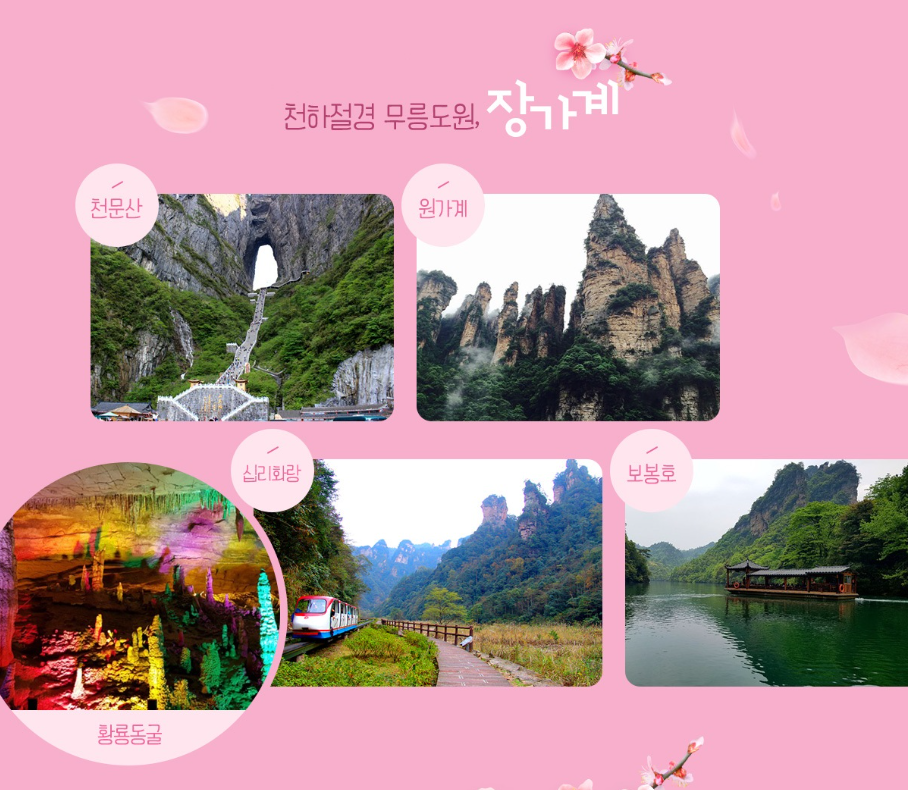 상품양다리양갈비 이미지