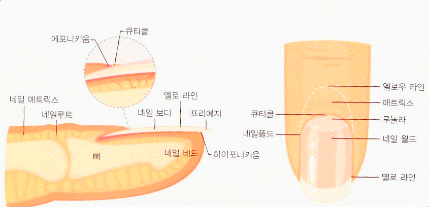 엠비씨아카데미뷰티미용학원 이미지