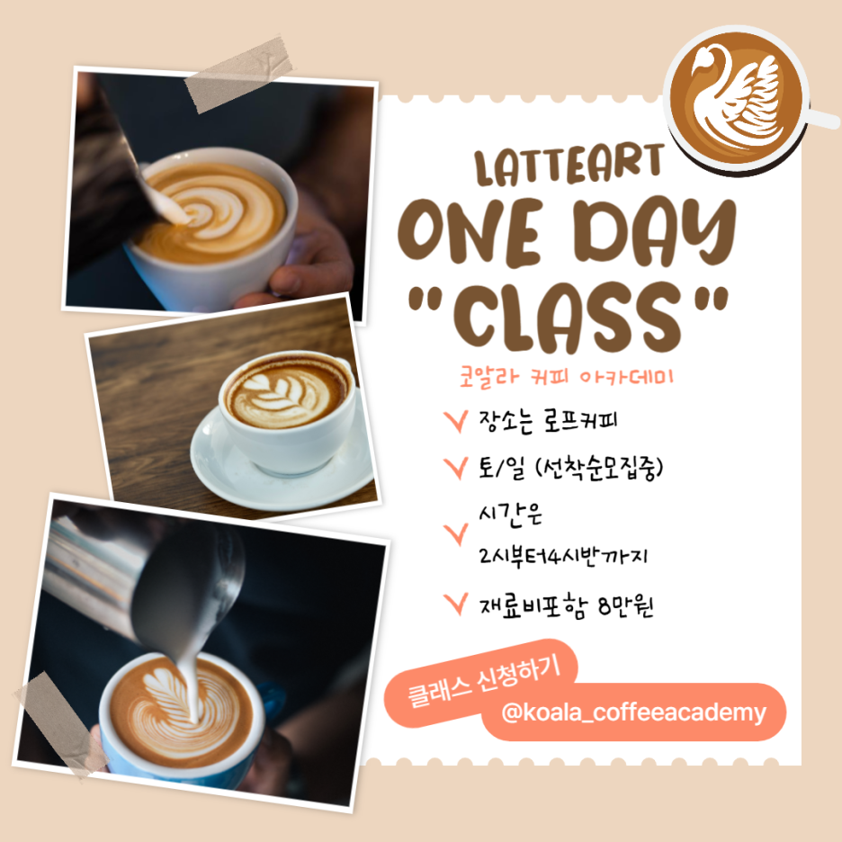 로제타아카데미 이미지