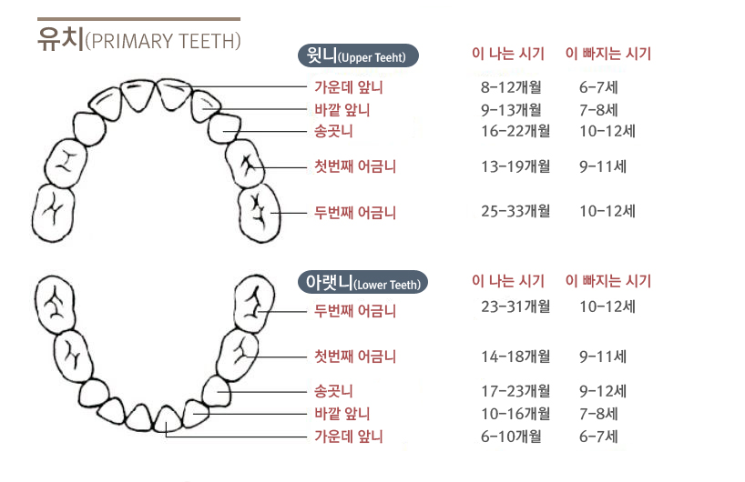 서울아이치과 이미지
