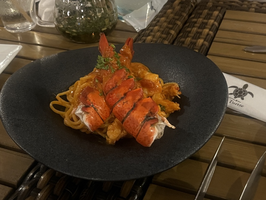 터틀파스타 이미지