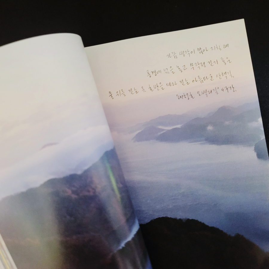 용감한트래블 이미지