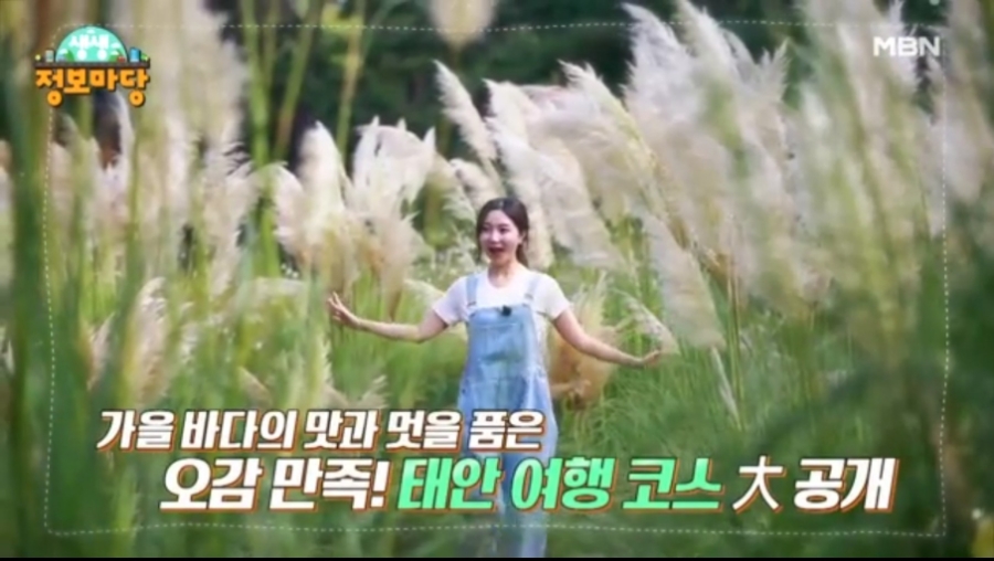 생생바지락칼국수 이미지