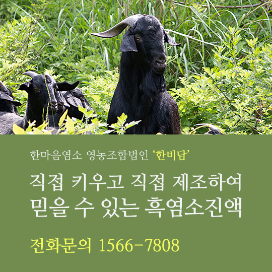 한비식품 이미지