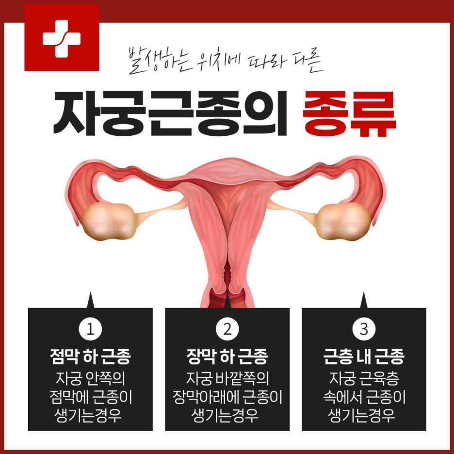 안중산부인과의원 이미지