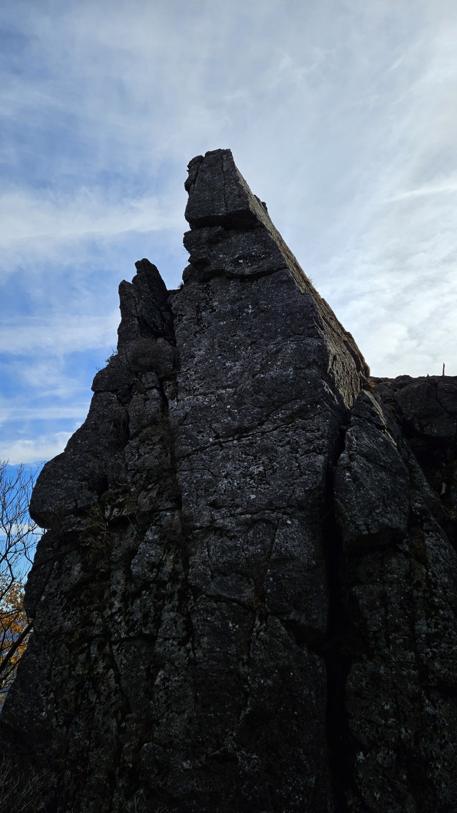 20231022_085535.jpg