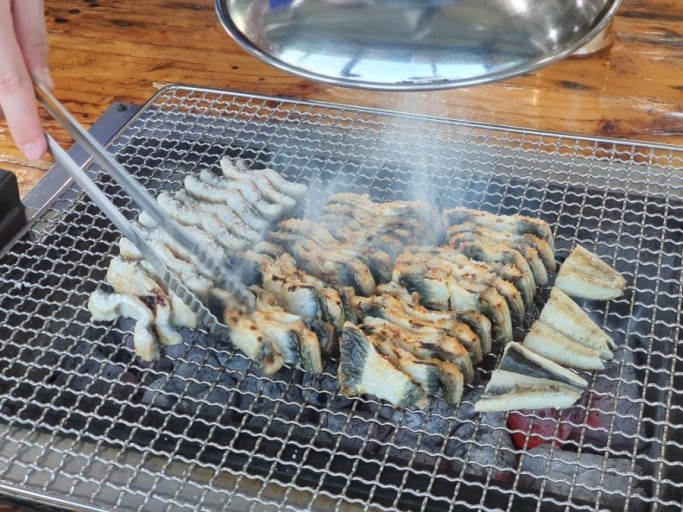 상상장어 이미지