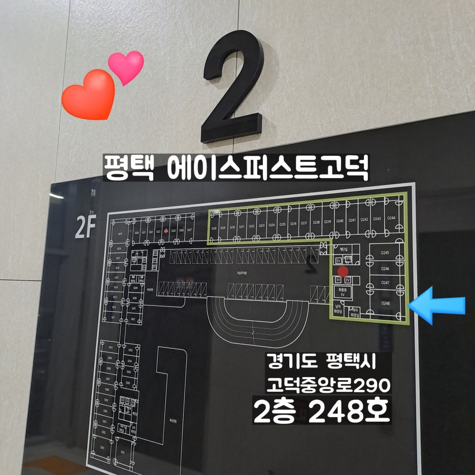 청춘어항 이미지