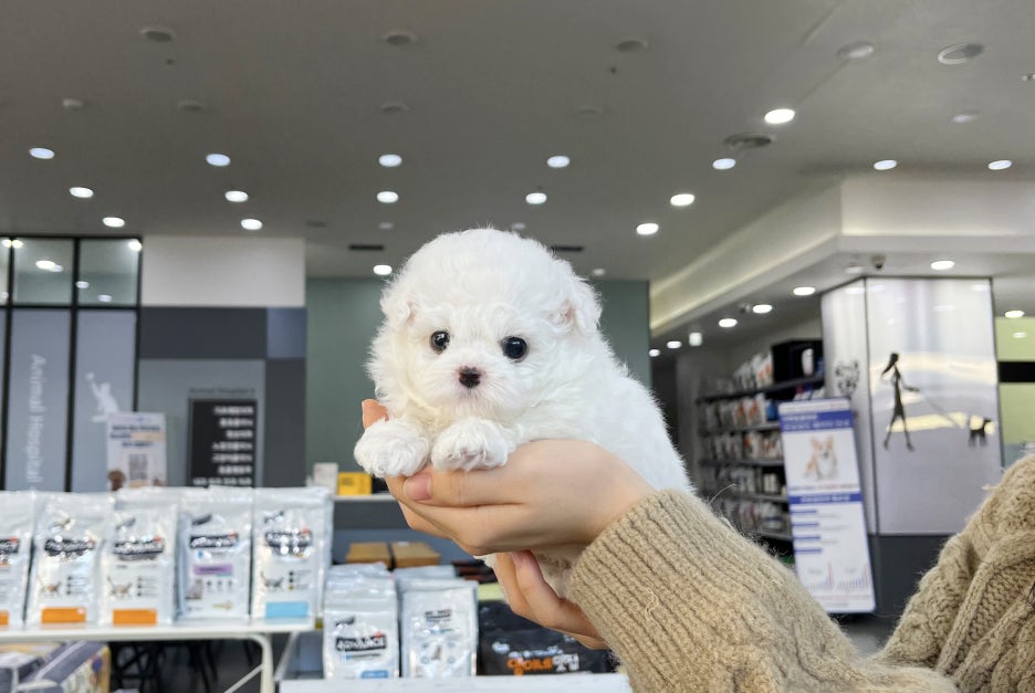 딜리버리멀티샵 이미지