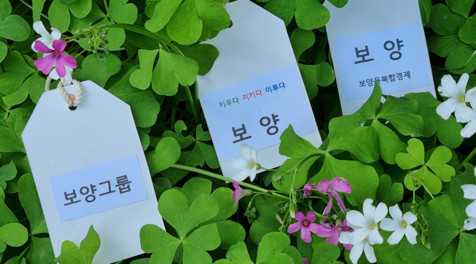 헬스라이프스토리 이미지