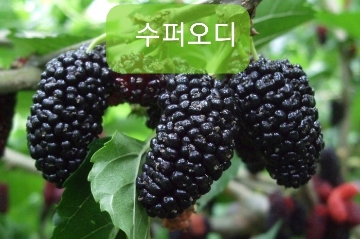 군위슈퍼 이미지