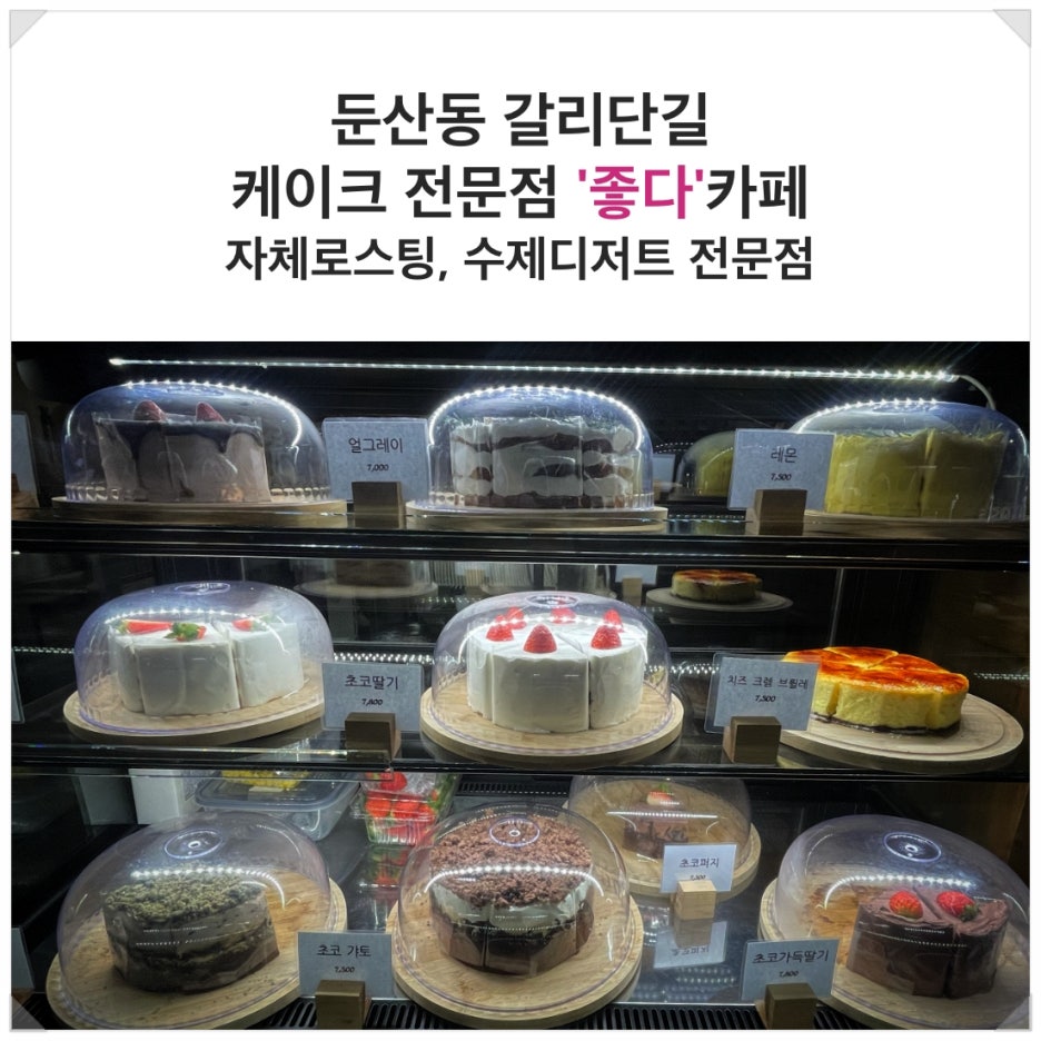 인셉트 이미지