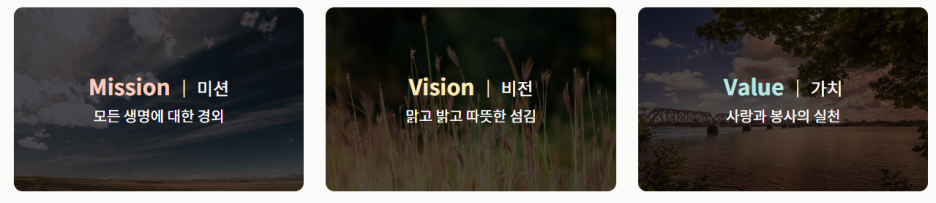향동포레요양병원 이미지