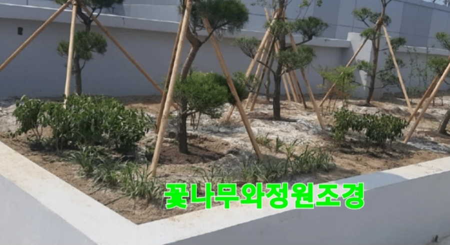 청운조경 이미지