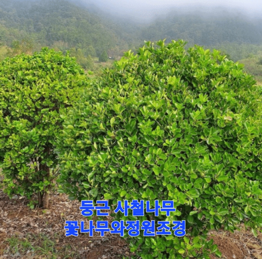 전곡울타리 이미지