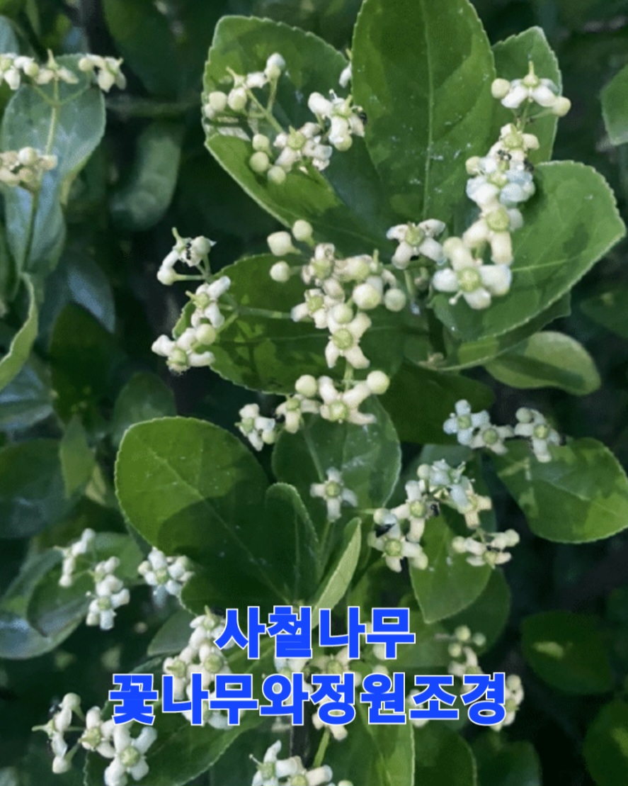 전곡울타리 이미지