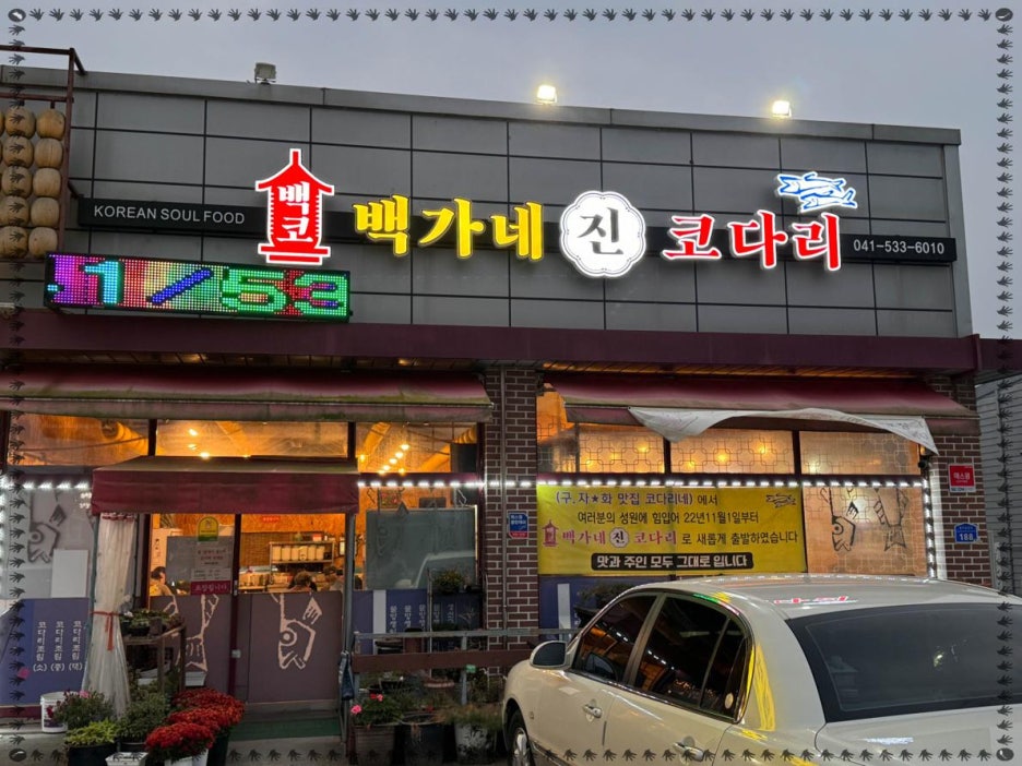 진심코다리 이미지