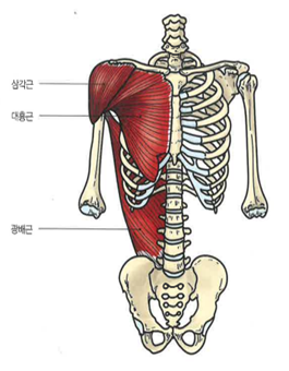 아이언짐 이미지