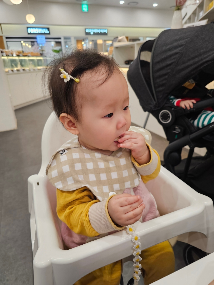 달다고미 이미지
