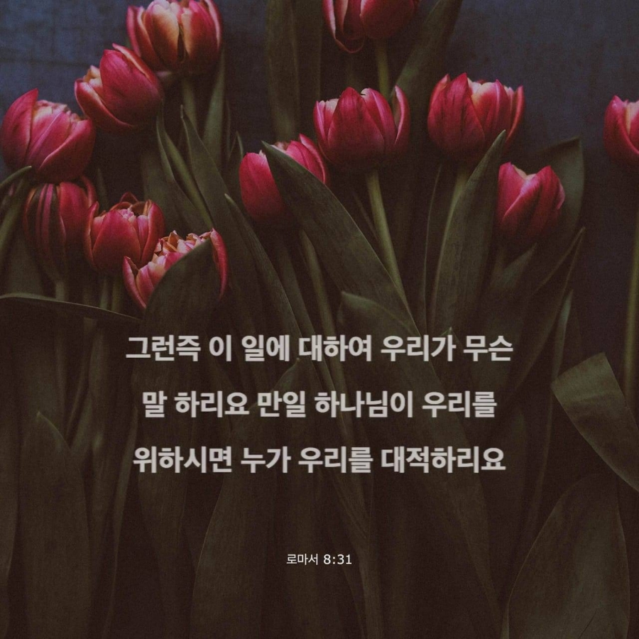 보리떡다섯개 이미지