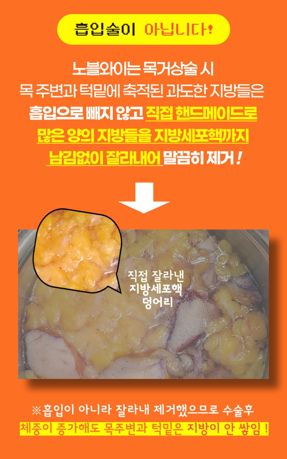와이니즈 이미지