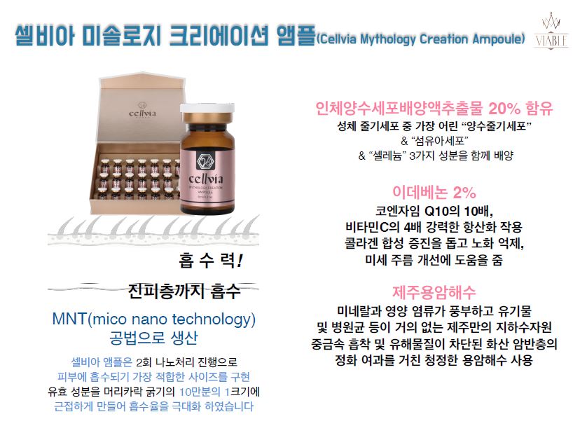 셀비아 이미지